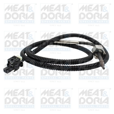 Sensor, exhaust gas temperature